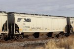 NS 298346